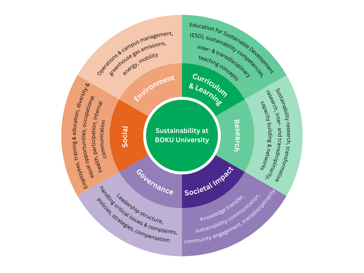 Sustainability Strategy and Training